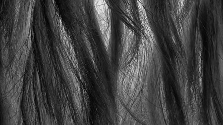 A close-up of richly textured hair. The hair is very long and colored in various shades of black as an abstract textured background for a web banner template page design.の写真素材