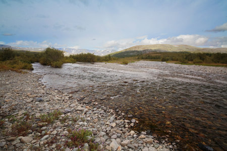 Beautiful autumn landscape of a summer northern river with a strong current of water flow in the...