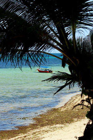 African beach with palmtree and boat in the backgroundの写真素材