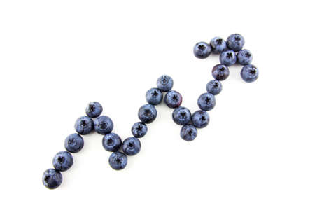 Growing trend concept  made of fresh blueberries isolated on whiteの写真素材