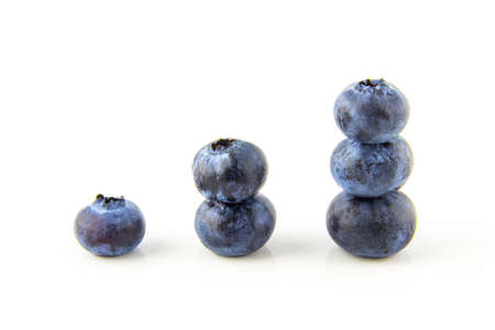 Growing up concept made of fresh blueberries isolated on whiteの写真素材