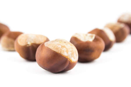 Chestnuts with selective focus isolated on white backgroundの写真素材