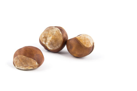 Three chestnuts isolated on white backgroundの写真素材