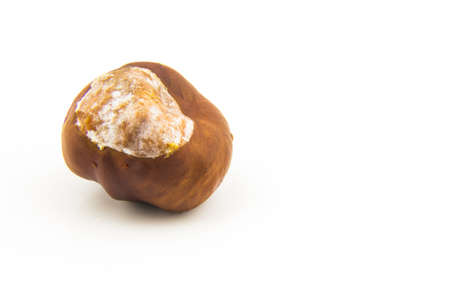 Closeup of a single chestnut isolated on white backgroundの写真素材
