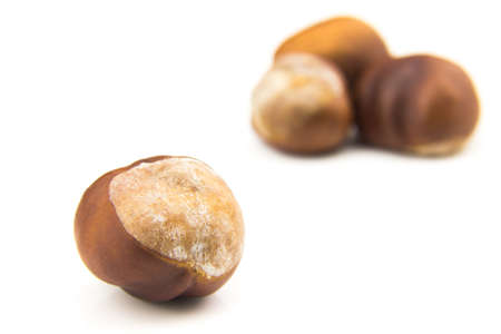 Chestnuts with selective focus isolated on white backgroundの写真素材