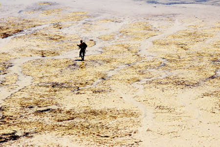 African diver heading to his boat during low tideの写真素材