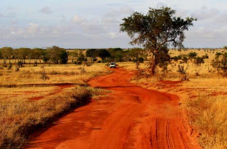 usty safari road in Tsavo East National Park, Kenyaの写真素材