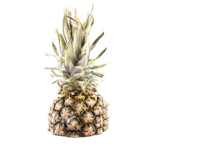 Pineapple isolated on whiteの写真素材