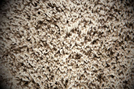 Fringe of fitted carpet for background or textureの写真素材