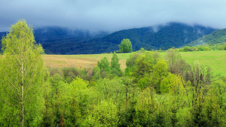 Rainy day in Bieszczady Mountains, South-East Poland