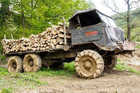 Old wrecked truck loaded with logs in a forestの写真素材