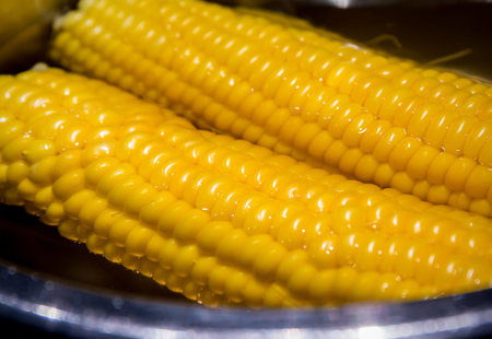 Sweet yellow corn boiled in a pot 