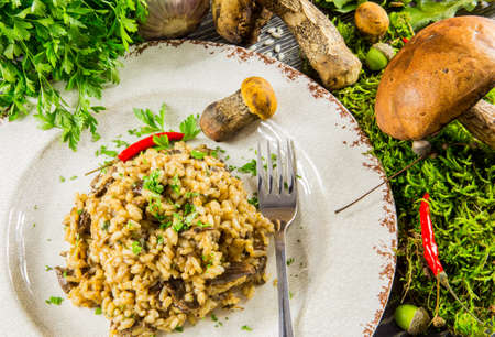 Italian risotto with mushrooms on a wooden tableの写真素材