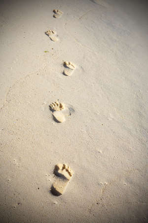 Footprints on sandy beachの写真素材