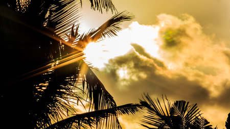 Ray of sunlight on Caribbean beach in Mexico