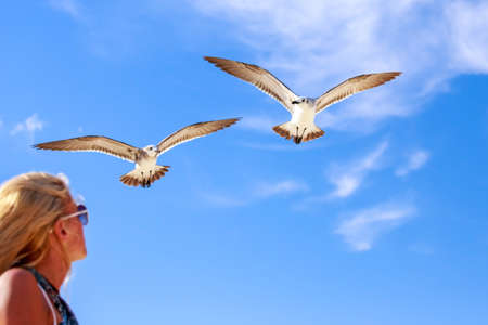 Blonde girl looking at flying seagulls against the background of blue skyの写真素材