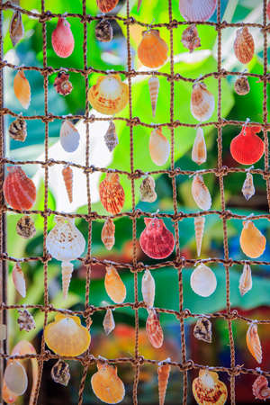 Sea shells souvenirs somewhere in Dominican Republicの写真素材