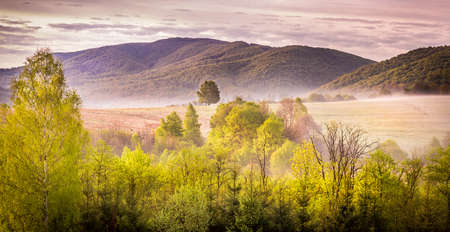 Forest and mountains landscape of Bieszczady in Polandの写真素材