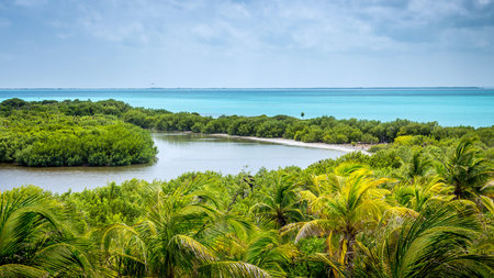 Aerial view of mexican Contoy tropical island