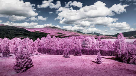 Infrared photo of forest and mountains landscapeの写真素材