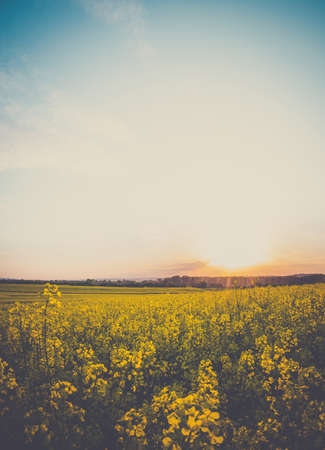 Retro sunset landscape somewhere in the countryの写真素材