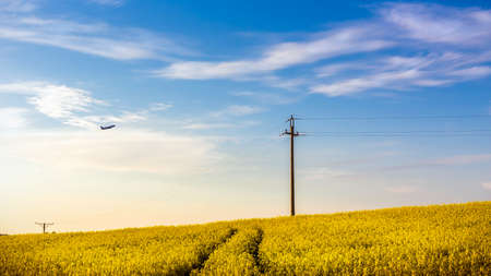 Plane flying over beautiful yellow rape field somewhere in the countryの写真素材