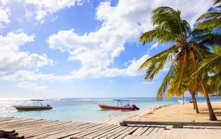 Beautiful caribbean beach on Saona island, Dominican Republicの写真素材