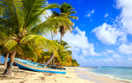 Beautiful caribbean beach on Saona island, Dominican Republicの写真素材