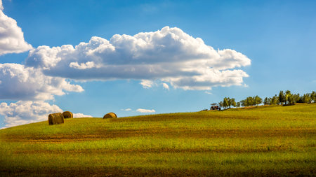 Rural landscape. Haystacks under blue sky and white clouds.