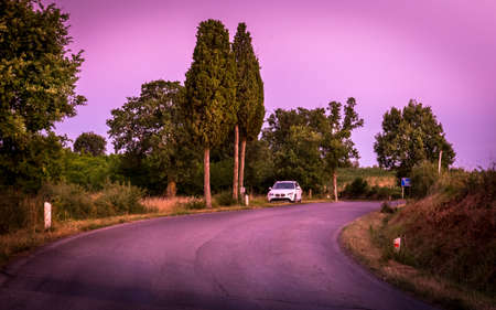 Purple landscape, countryside road and cypress trees in Tuscanyの写真素材
