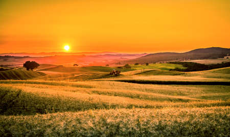 Golden sunset over tuscan fields in Italy with a tractor in the foregroundの写真素材