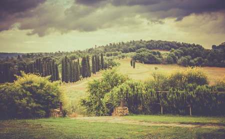 Vintage tuscan landscape with high cypress trees in the backgroundの写真素材