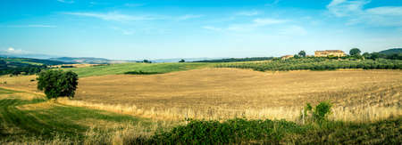 Country landscape of tuscan hills with olive field and old farmhouse in the backgroundの写真素材