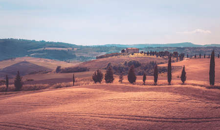 Vintage tone rural landscape in Tuscany, Italyの写真素材