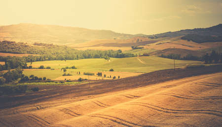 Vintage tone rural landscape in Tuscany, Italyの写真素材