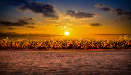Golden sunset over caribbean sea in Dominican Republicの写真素材
