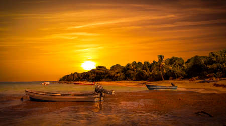 Golden sunset over caribbean sea and beachの写真素材