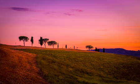Amazing purple landscape with trees on a hillの写真素材