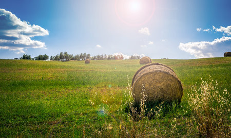 Rural landscape. Haystacks under blue sky and white clouds.