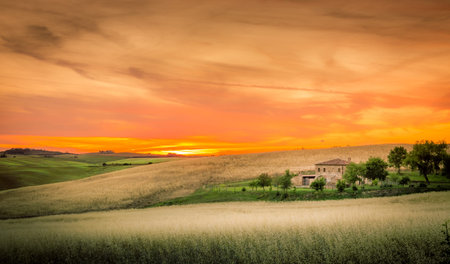 Golden sunset in Tuscany. Countryside landscape.