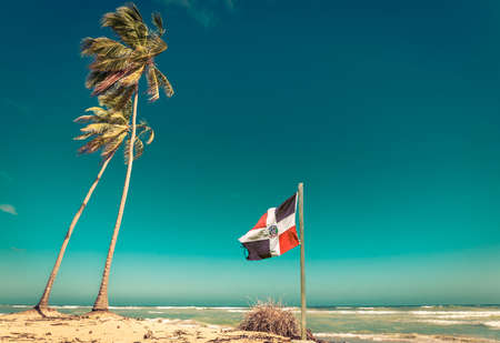 Sandy beach, palm tree and Dominican Republic flagの写真素材