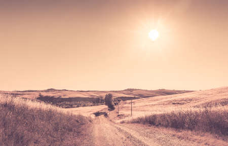 Warm tone tuscan summer landscape. Rural scenery.の写真素材