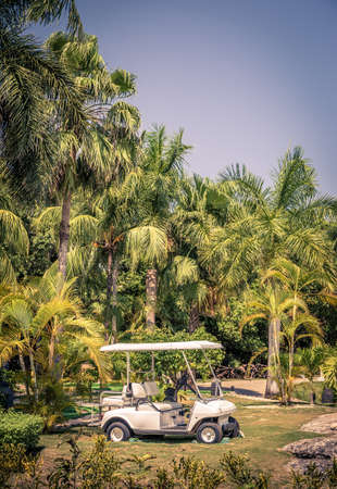 Club cart among palm trees on mayan riviera in Playa del Carmenの写真素材