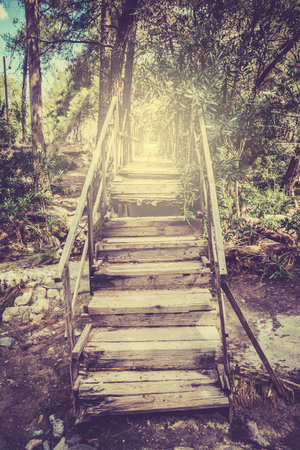 Old weathered stairway in greek forest on Kos island