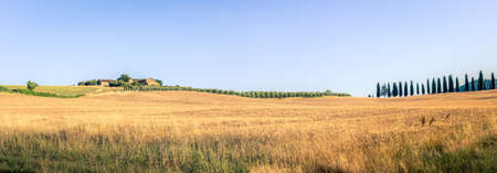 Summer country landscape with tall cypress trees and farmhouse in Tuscanyの写真素材