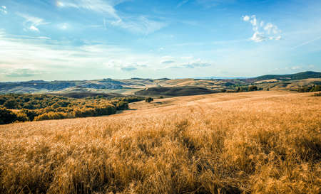 Summer tuscan landscape with typical hills and blue sky.の写真素材