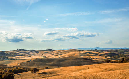 Summer tuscan landscape with typical hills and blue sky.の写真素材