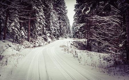 Winter landscape. Road covered in snow in dense forest.