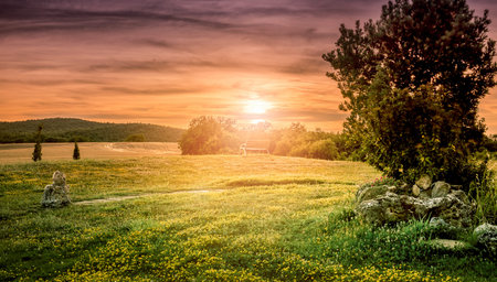 Beautiful sunset landscape with lonely bench in the background