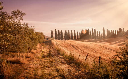 Beautiful sunrise over golden tuscan fields, Italyの写真素材